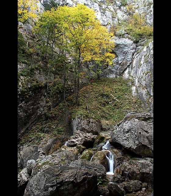 Medvědí soutěska