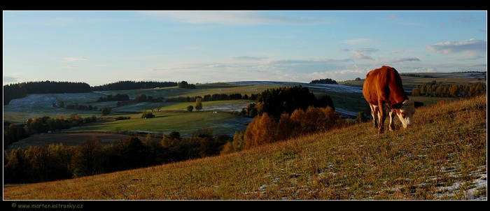 Pastva a západ slunce