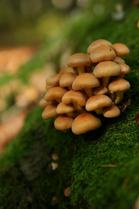 Sídlišťátko na svahu