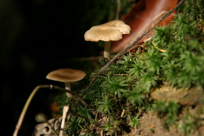 Pojď za chvilku jsme nahoře