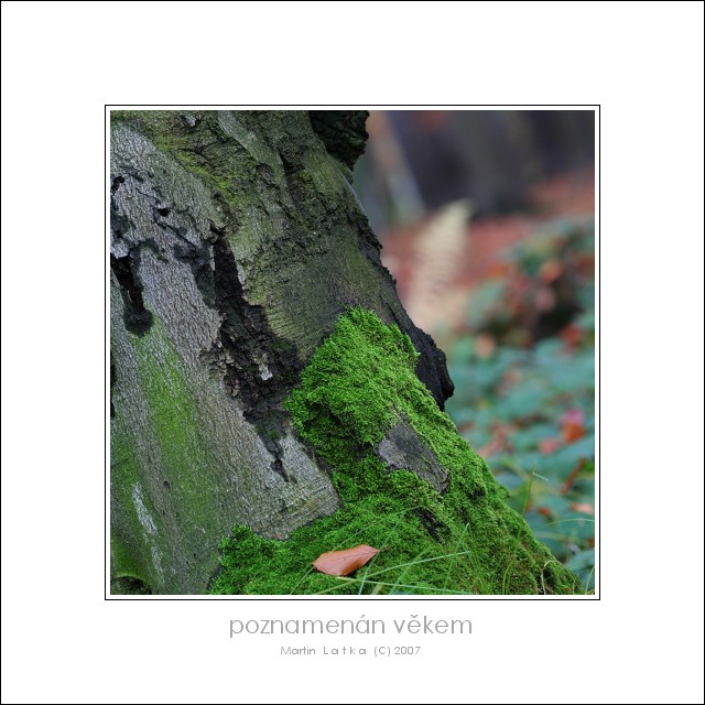 poznamenán věkem