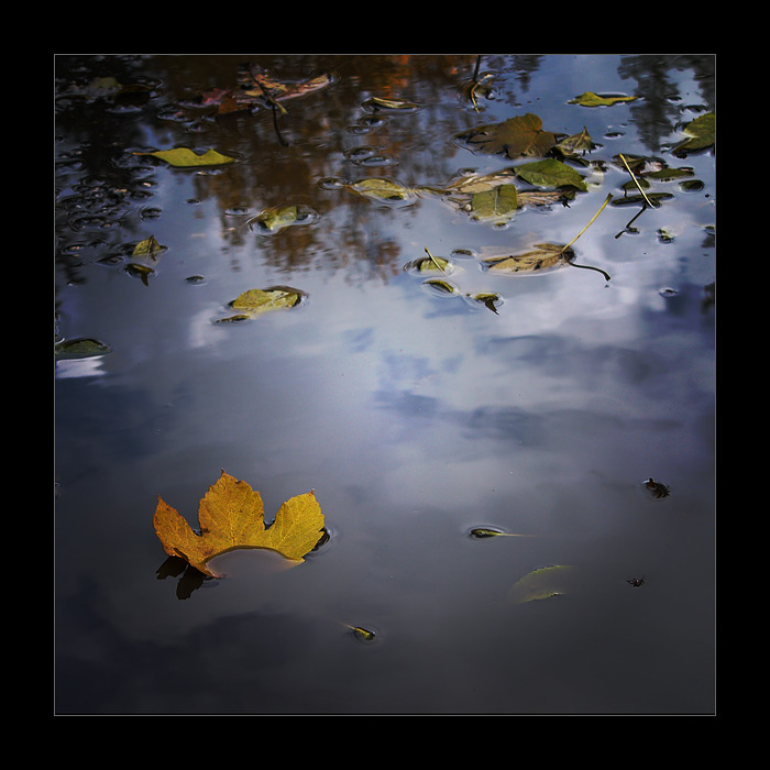 Odplouvající léto