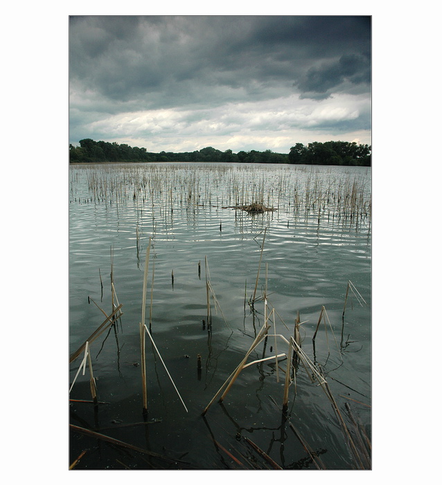 Strniště