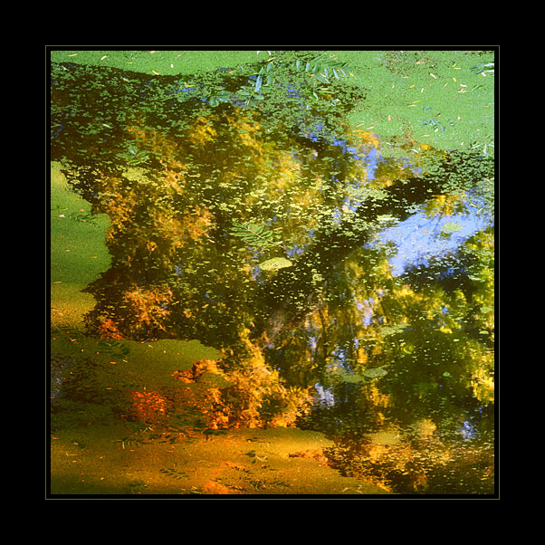 Imagine VI. - Podzim