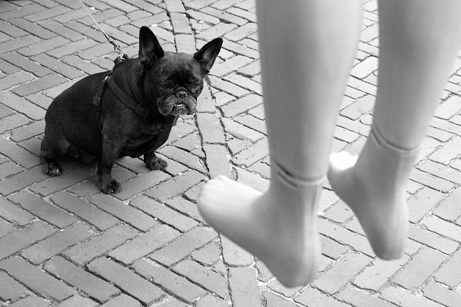 Groningen - obrázky z ulice (II)