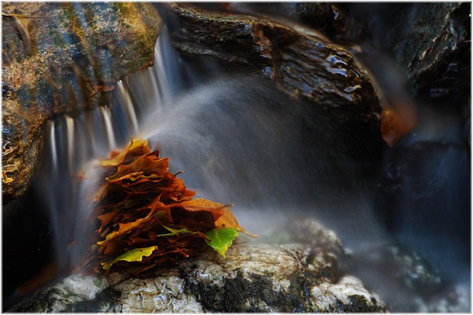 Podzimni potokovka I.