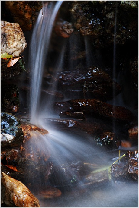 U pramene Střední Opavy