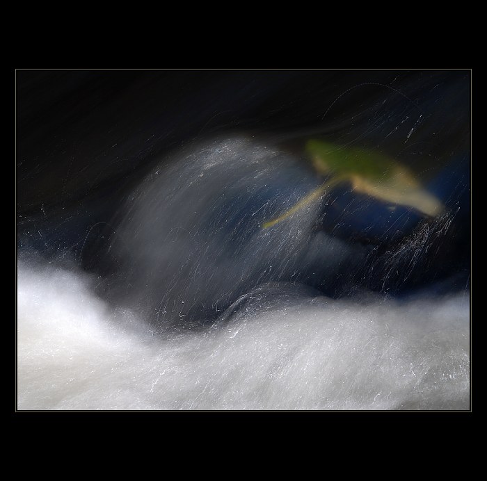 ... podzim připlouvá ...