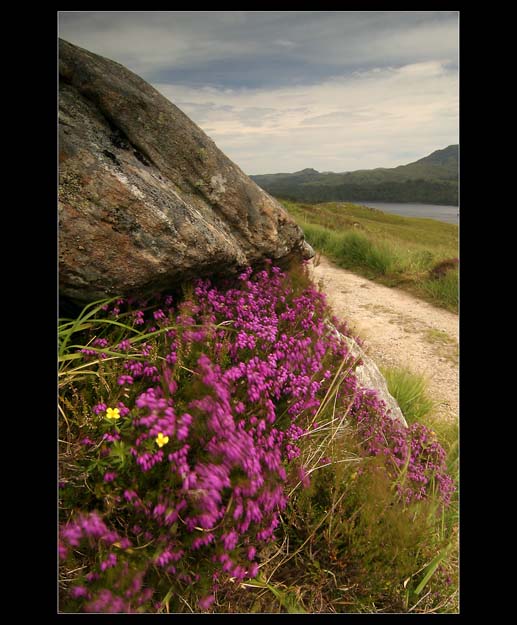 Glen Affric