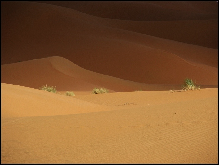 Púšť Erg Chebbi II.