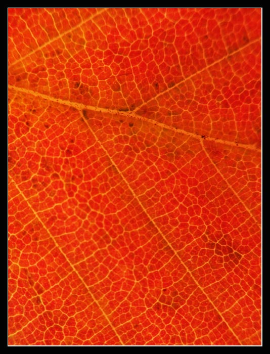 .:. strukturofka III. .:.