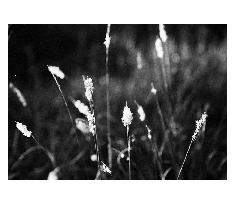 = střapečky z filmu =