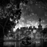 .: VIKTORČIN KŘÍŽ :.