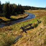 šumava: roklanský potok