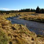 šumava: roklanský potok