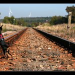 Čekání na kolejích