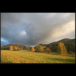 Poslední paprasky II