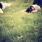 Lie-in C