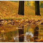 Podzimní zrcadlení