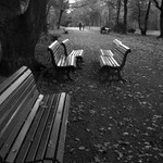 Melancholický podzim