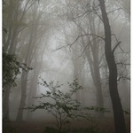 Hukvaldy 2