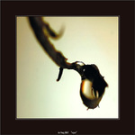 ------VOYER------