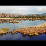 Šumava - Chalupská slať