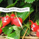 Prosíme,netrhej nás!!!!!!