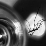 vzpomínka na první třídu