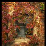 tohle už nikdo neumyje...