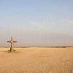 Lonely in the Desert