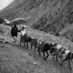 Pakistanska princezna