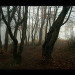 mlha stokrát jinak 020