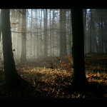 mlha stokrát jinak 021