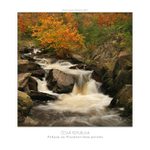 Podzim na Prunéřovském potoku