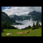 Švýcarská klasika