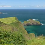 Pole na mořském útesu