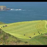 Pole na mořském útesu II.