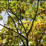 Podzimní atmosféra