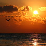 Jedno ráno v Bulharsku