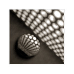 Pod