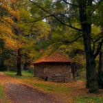 Podzimní cesta a domek