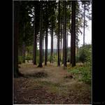 obrazy z Vysočiny V.