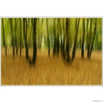 [ Podzimní imprese... ]