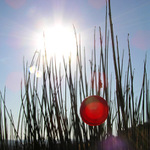 snaha o zakomponování plastických hmot do volné přírody