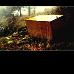 Nedaleko Chernobylu, téměř u Pripyatu