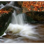 Černohorský potok II. detail