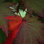 Stvrzení dohody o konci léta