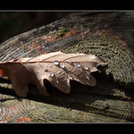 Víkend v přírodě