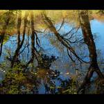 Podzimní zrcadlení